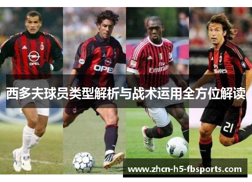 西多夫球员类型解析与战术运用全方位解读