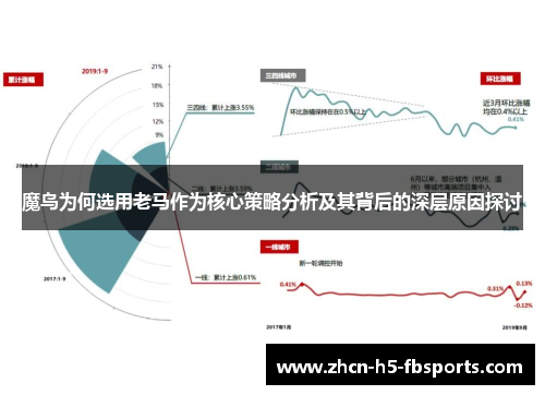 魔鸟为何选用老马作为核心策略分析及其背后的深层原因探讨